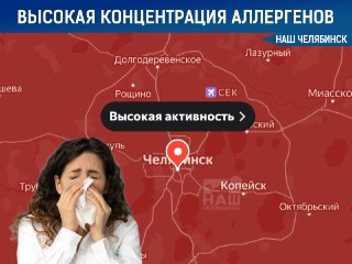 В Челябинской области резко увеличилась концентрация пыльцы