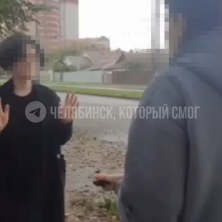 Челябинка избила подругу из-за кошки: суд вынес решение